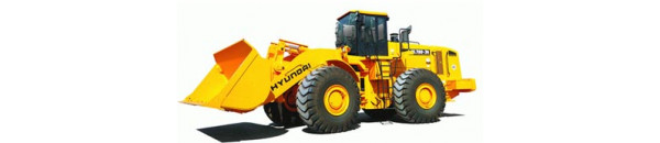 Гидроцилиндр для Фронтальный погрузчик Hyundai HL780-7A